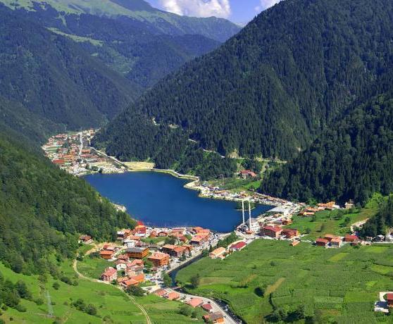 7-trabzon-must%20%281%29.jpg