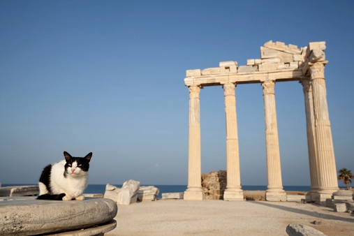    See Dunia - شوف الدنيا   :  Antalya  -  الاماكن السياحية في انطاليا 