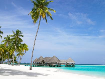 See Dunia - شوف الدنيا  :  Hotels in Maldives   فنادق في مالديف  