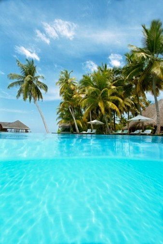 See Dunia - شوف الدنيا  :  Hotels in Maldives   فنادق في مالديف  