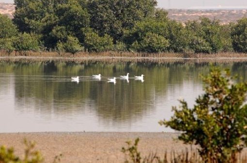 See Dunia : الاماكن السياحية في عجمان 